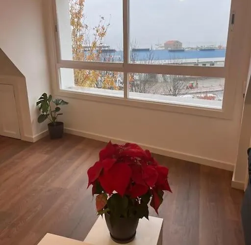 Apartment Atico Cork *